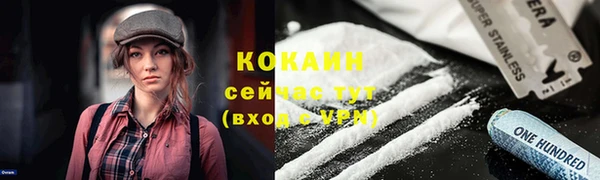 гашик Краснослободск