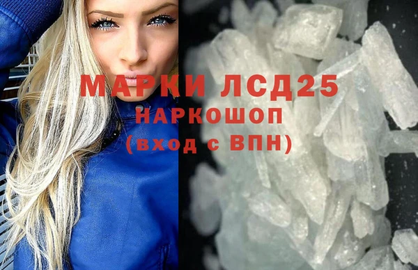 гашик Краснослободск