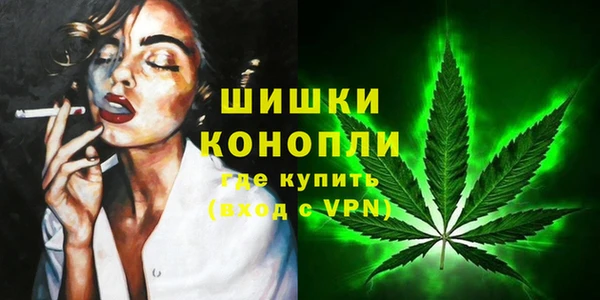 гашик Краснослободск