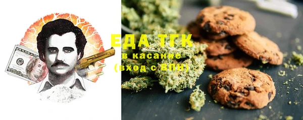 гашик Краснослободск