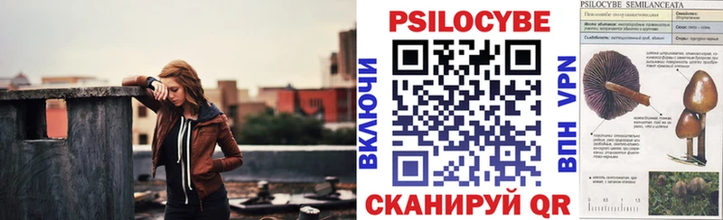 Галлюциногенные грибы Psilocybine cubensis  Называевск 
